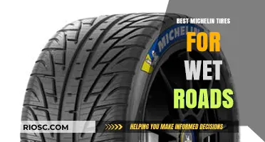 Top Michelin Tires for Superior Wet Road Performance and Safety
