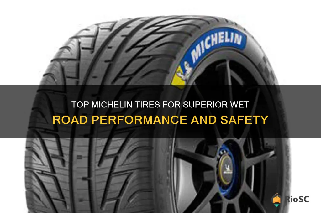 best michelin tires for wet roads