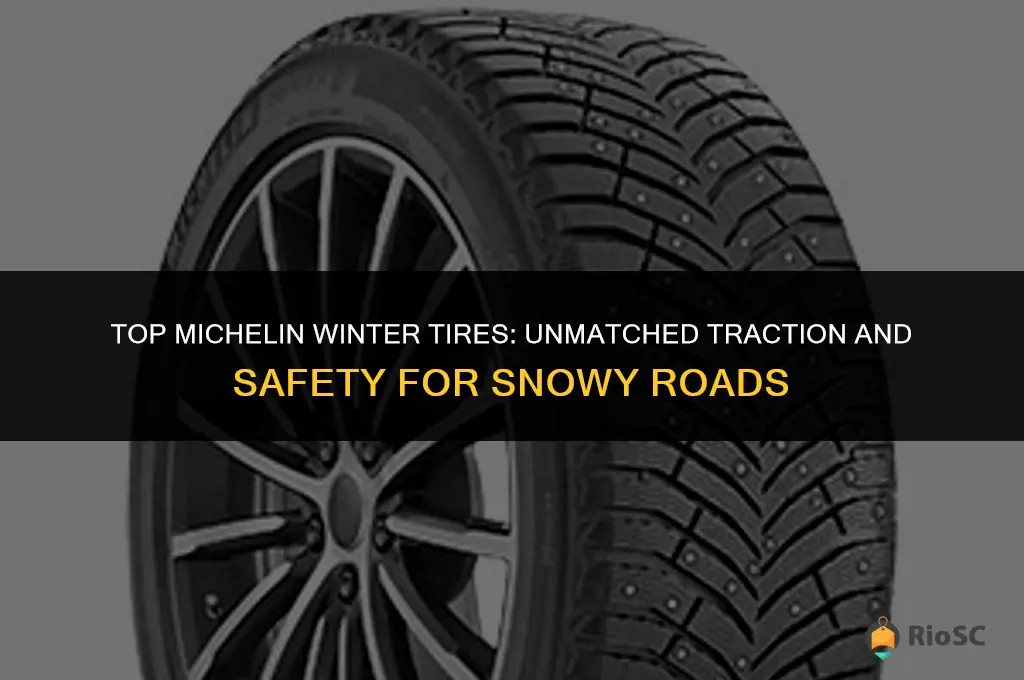 best michelin tires for winter