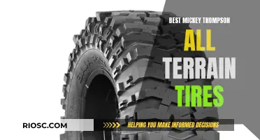 Mickey Thompson All-Terrain Tires: Rugged Performance for the Adventurous Spirit