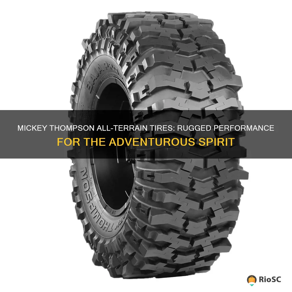 best mickey thompson all terrain tires