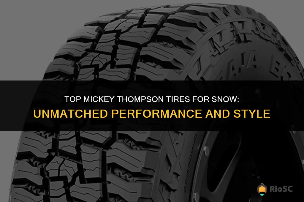 best mickey thompson tires for snow