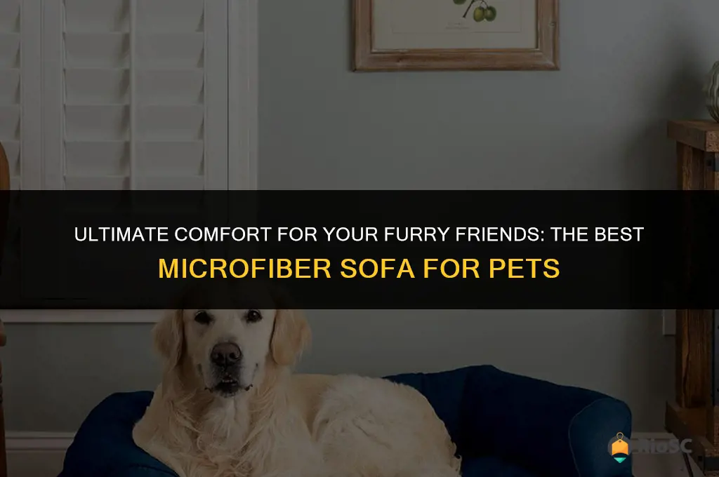 best microfiber sofa for pets