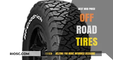 Top Mid-Price Off-Road Tires: Durable Performance Without Breaking the Bank