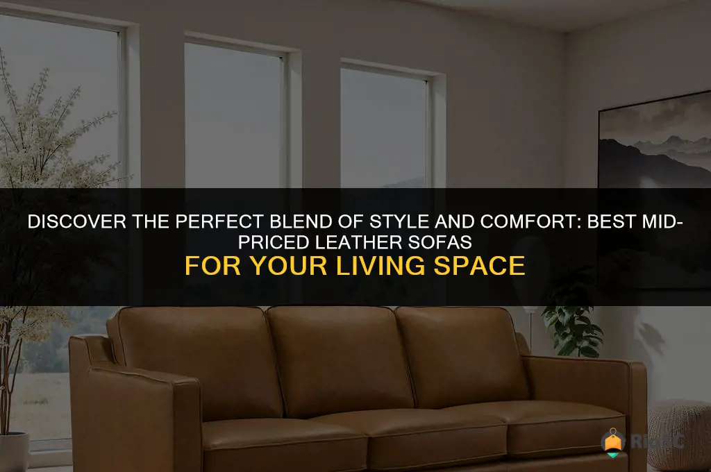 best mid priced leather sofa