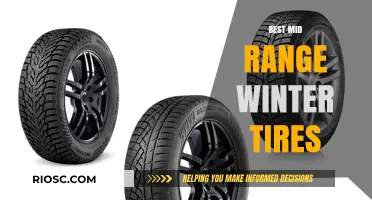 Top Picks for Mid-Range Winter Tires: Stay Safe and Save Big