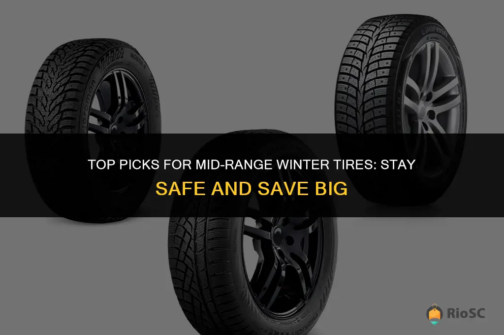 best mid range winter tires