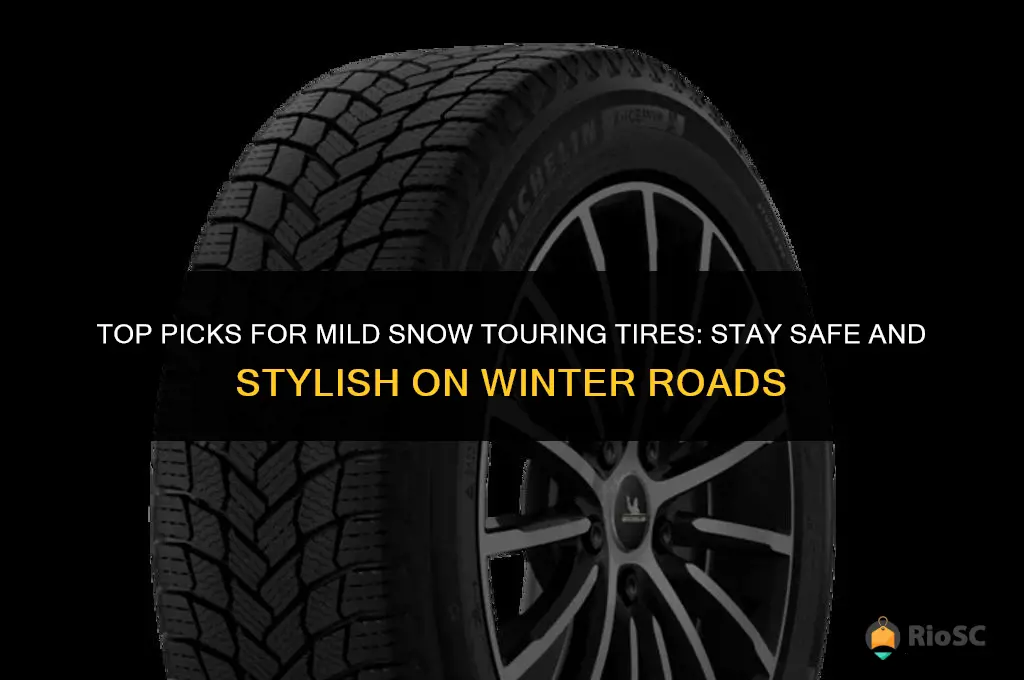 best mild snow touring tires