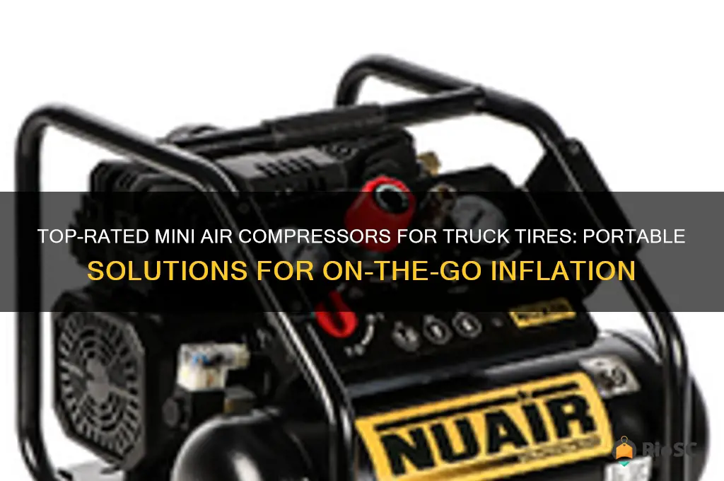 best mini air compressors for truck tires