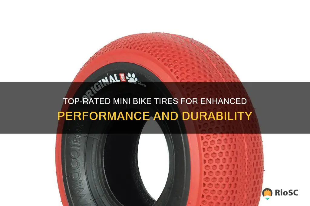 best mini bike tires