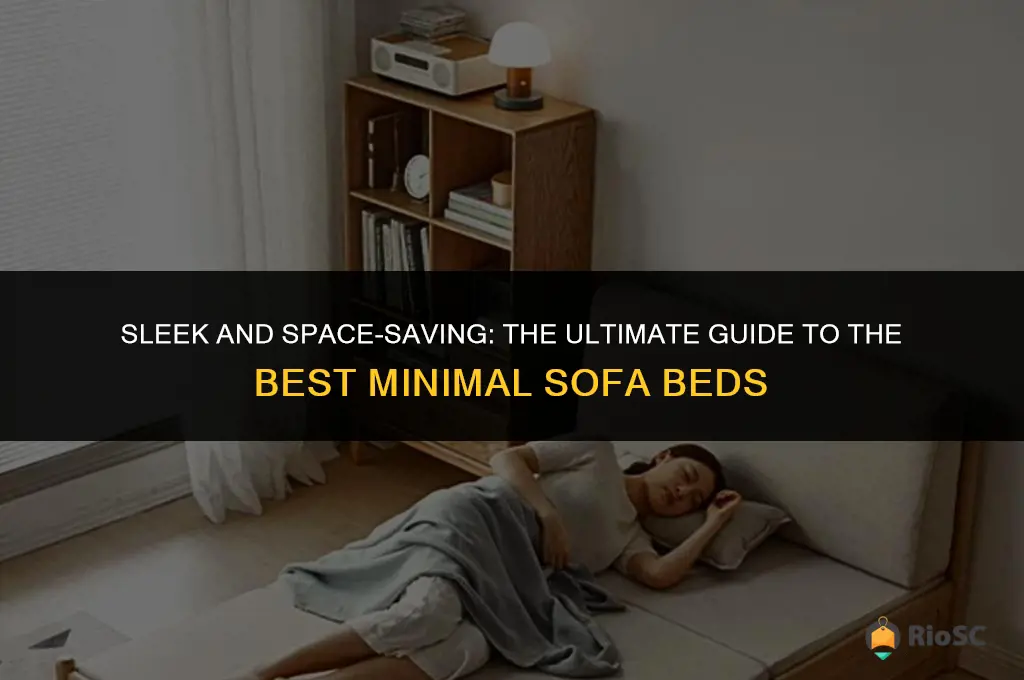 best minimal sofa beds