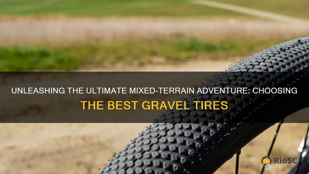 best mixed terrain gravel tires