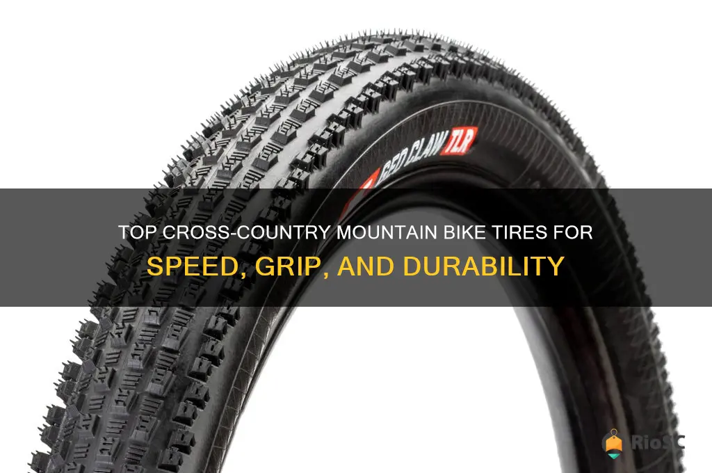 best mnt bike tires cross country