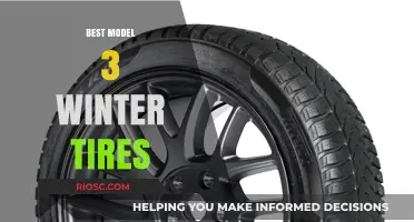 Top Picks for Winter: Model 3 Tires That Excel in Snowy Conditions