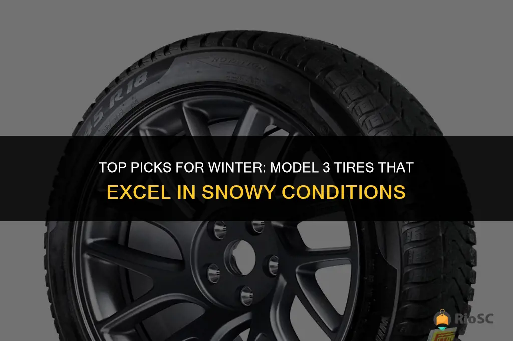 best model 3 winter tires