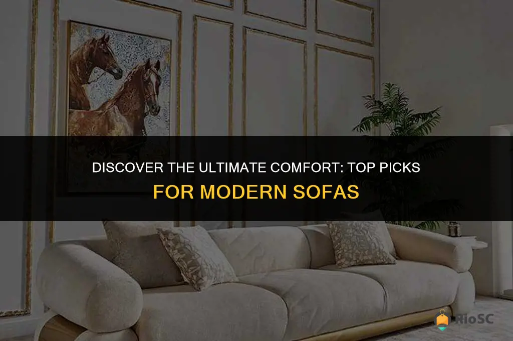 best moder sofas
