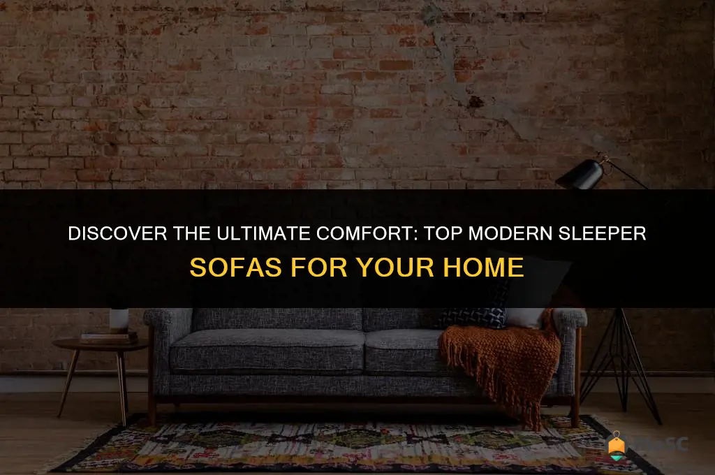 best moderen sleepr sofa