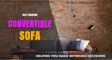 Unveiling Comfort: The Ultimate Guide to the Best Modern Convertible Sofa