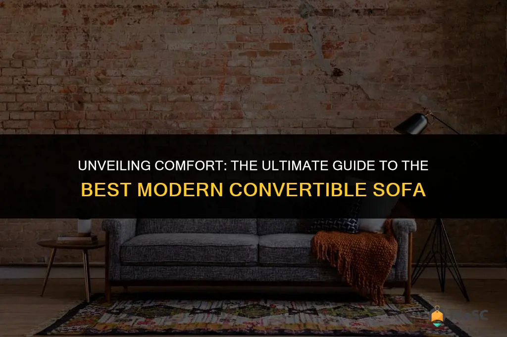 best modern convertible sofa