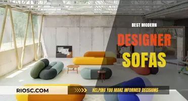 Exploring Elegance: A Curated Selection of the Best Modern Designer Sofas