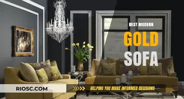 Elevate Your Living Space: The Ultimate Guide to the Best Modern Gold Sofas
