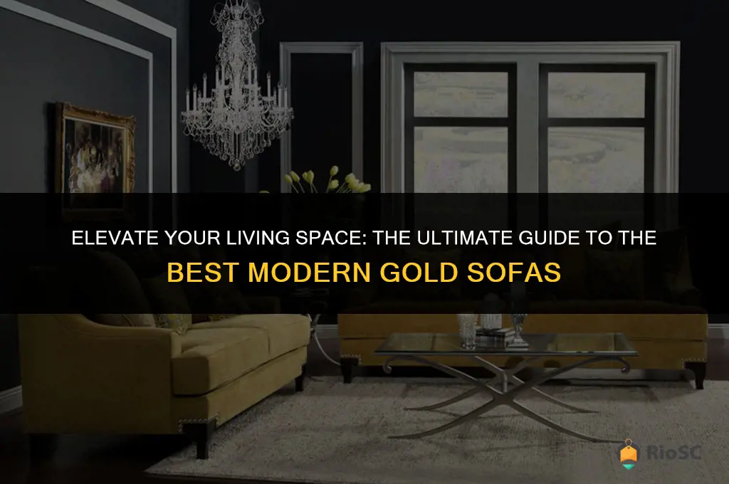 best modern gold sofa