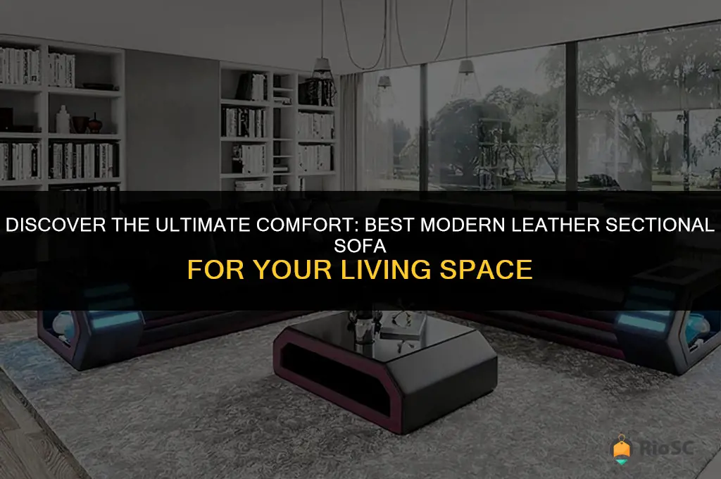 best modern leather sectional sofa