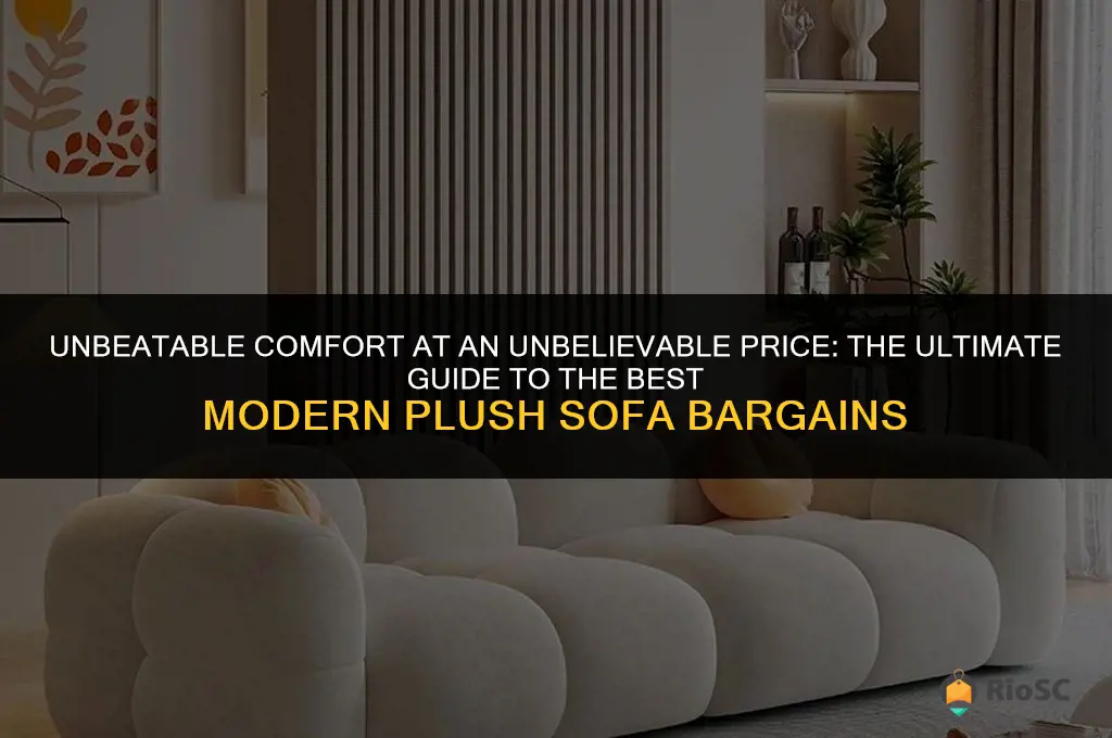 best modern plush sofa bargain