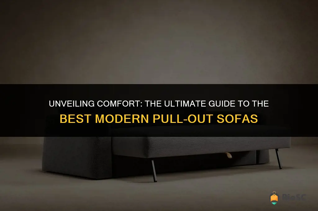 best modern pull out sofa