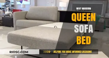 Discover the Ultimate Comfort: Best Modern Queen Sofa Bed for Your Home