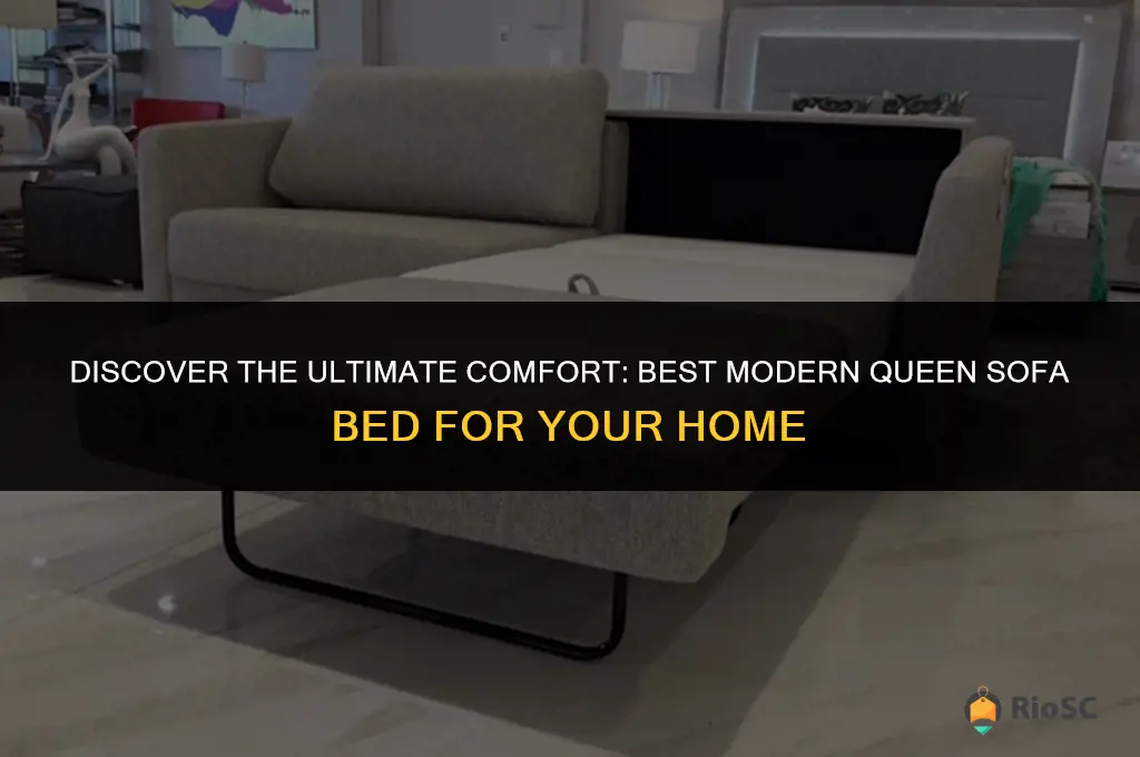 best modern queen sofa bed