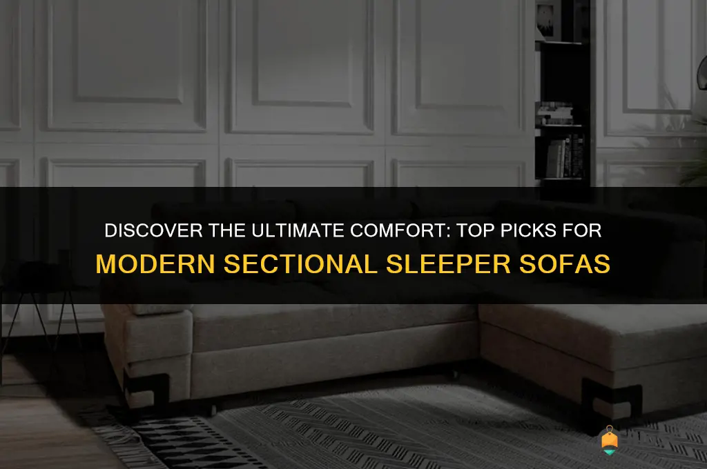 best modern sectional sleeper sofa
