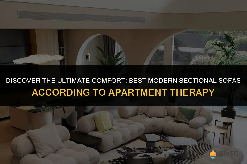 best modern sectional sofa apartment therapy