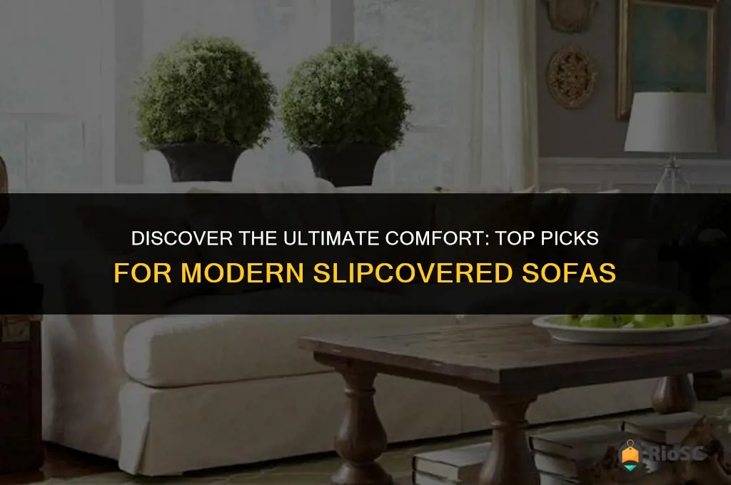 best modern slipcovered sofa