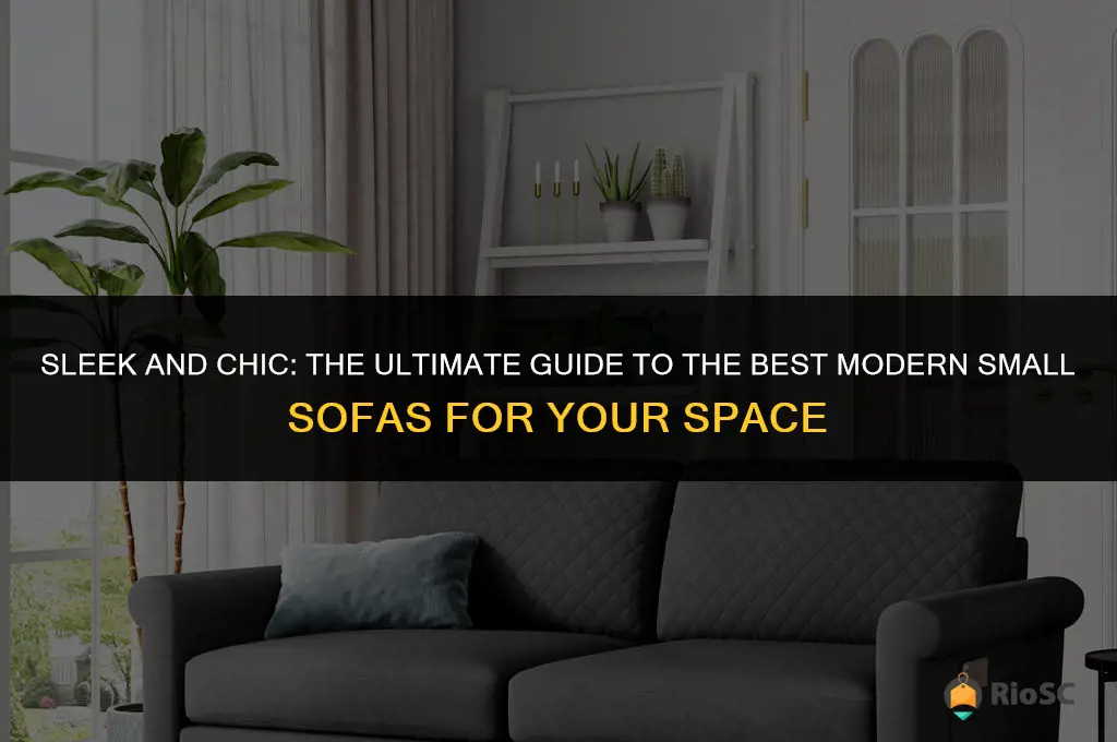 best modern small sofa