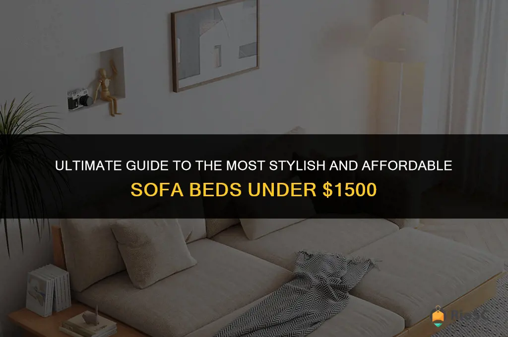 best modern sofa bed under 1500