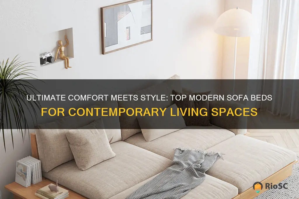 best modern sofa bed