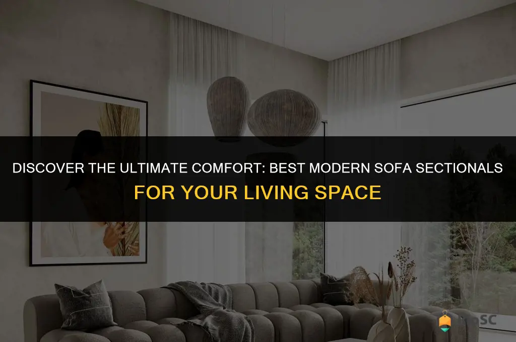 best modern sofa sectionals