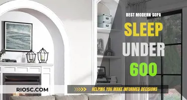 Discover the Ultimate Comfort: Top Sofa Sleepers Under $600 for Modern Homes