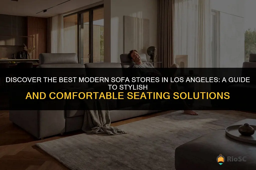 best modern sofa stores los angeles