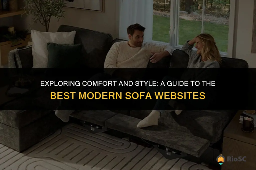 best modern sofa websites