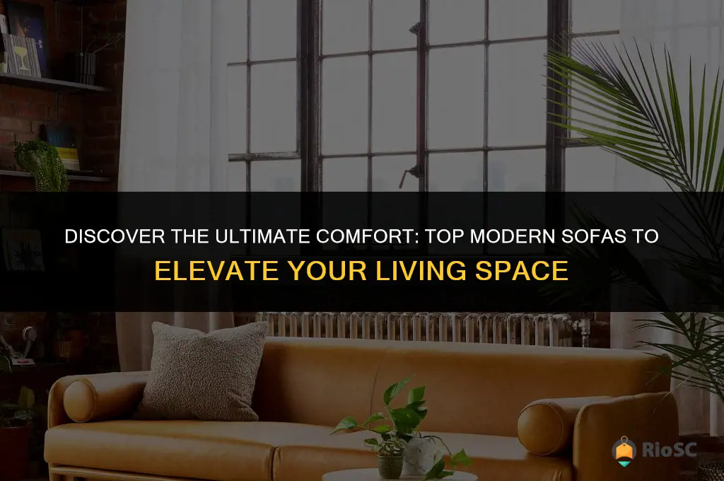 best modern sofas for sale