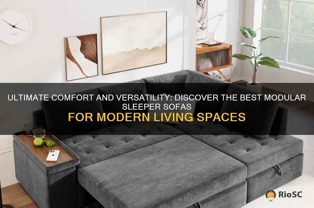 best modular sleeper sofa