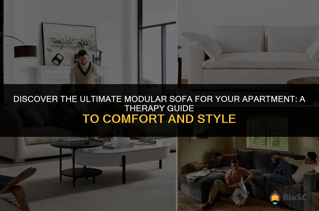 best modular sofa apartment therapy