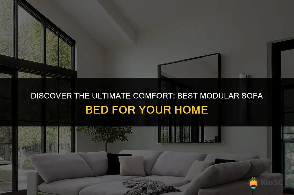 best modular sofa bed
