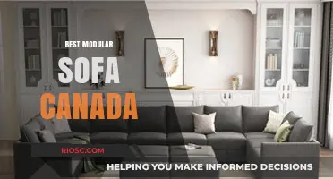 Discover the Ultimate Modular Sofa for Your Canadian Home: Style Meets Comfort