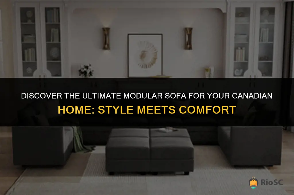 best modular sofa canada