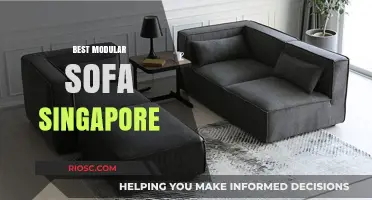Discover the Ultimate Modular Sofa in Singapore: Style, Comfort, and Customization at Its Finest