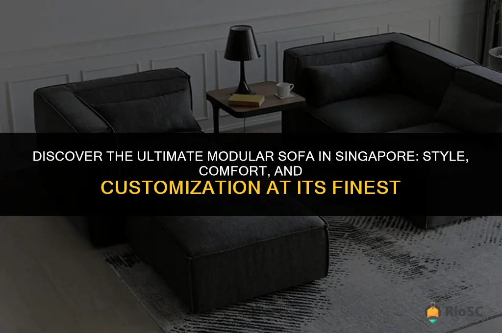 best modular sofa singapore