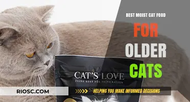 Top Picks for Senior Cats: The Best Moist Cat Food Options for Your Aging Feline Friend
